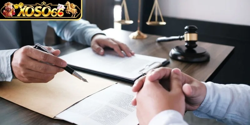 Trách nhiệm pháp lý và cơ chế tự chịu trách nhiệm của người tham gia