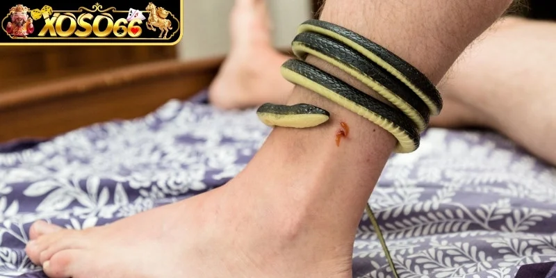 Trong mơ bị rắn cắn là điềm báo gì?
