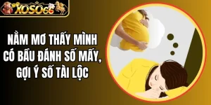 Nằm mơ thấy mình có bầu đánh số mấy