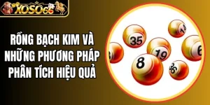 Rồng bạch kim