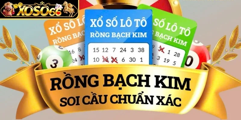 Tìm hiểu soi cầu rồng bạch kim